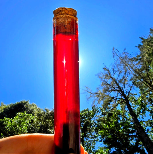NON-ALCOHOLIC 25 mL Cabernet Sauvignon Sapa Vial – 0% Alcohol Premium Grape Tasting Sample